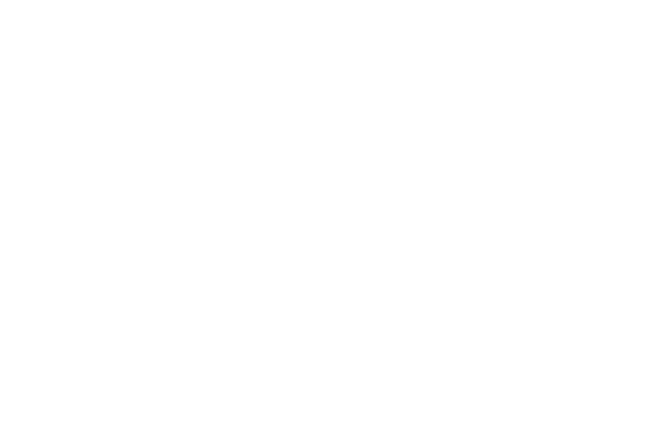 De Jong & Vader Logo